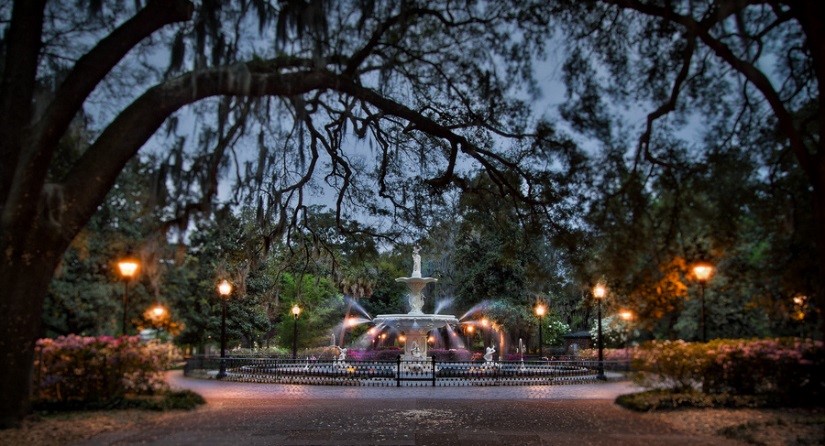 Savannah_pic_for_FOC16